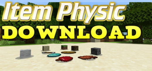 3d Item Physic Addon