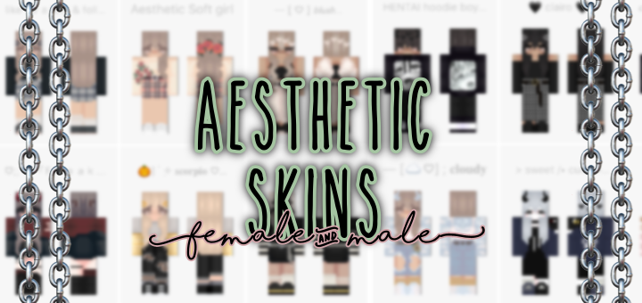 Aesthetic Skin Pack Male Female Minecraft Skin Packs