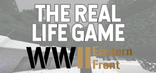 The Real Life Game: WWII Eastern Front