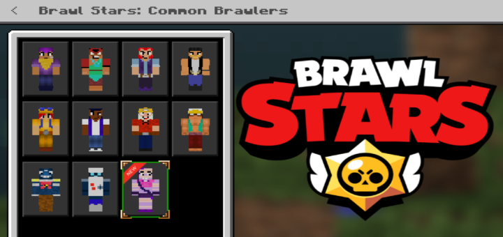 Brawl Stars Common Brawlers Skin Pack Minecraft Skin Packs - mod brawl stars download minecraft