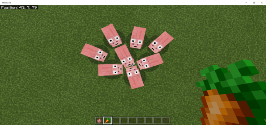 Derp Addon!