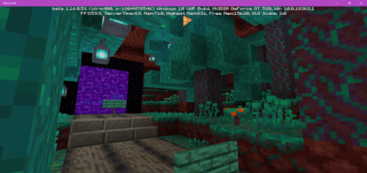 Nether Update Features Review Map (1.16 Beta Only)