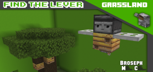 Find The Lever - Grassland