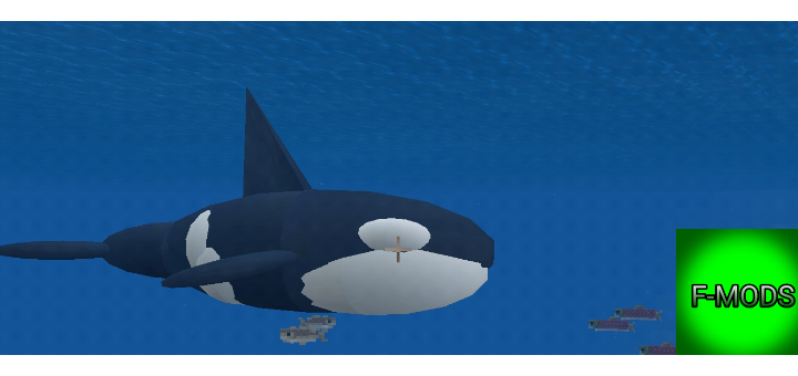 Killer Whale Addon Minecraft Pe Mods Addons - killer whale roblox