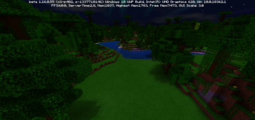 Realistic Biome World