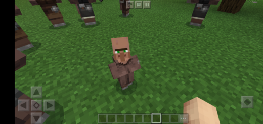 Baby Villager with Small Head