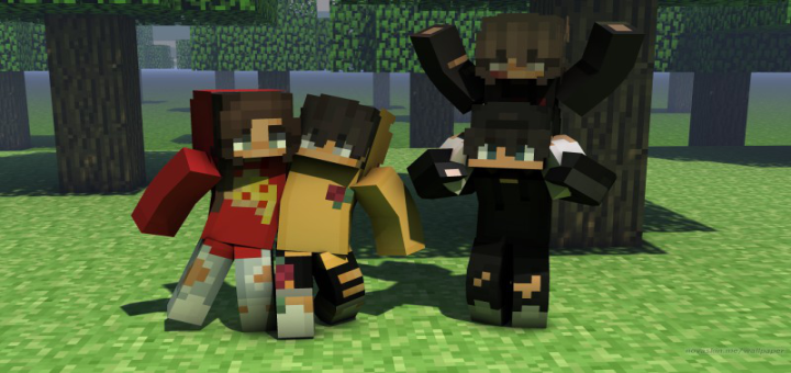 Girl Minecraft Skins With Hoodies And Brown Hair