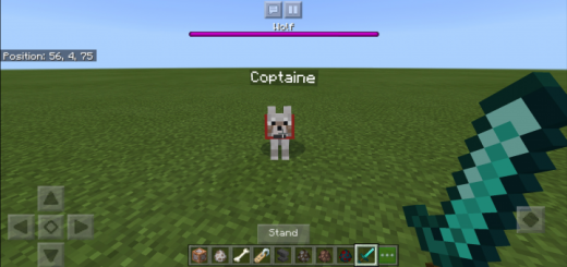 Show HP MOD (Add-on) 1.16+