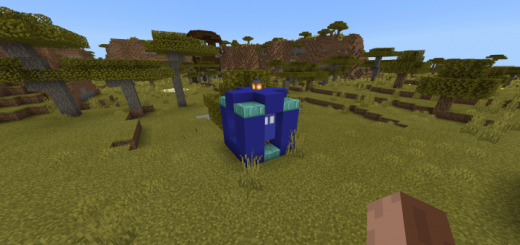 Working Bedrock Tardis With Custom Destinations