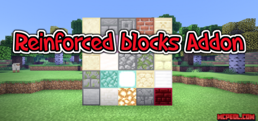 Reinforced Blocks Add-on (1.16)