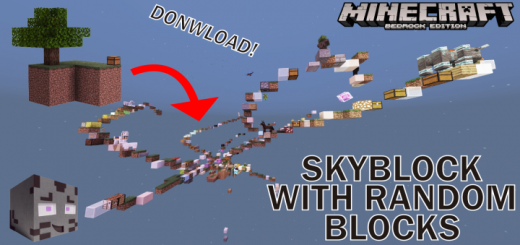 Skyblock With Random Blocks!