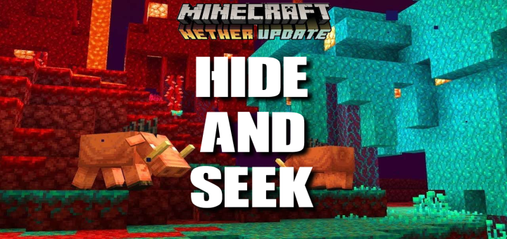 THE SEEKER WALKED RIGHT PAST ME! (Minecraft Hide and Seek)