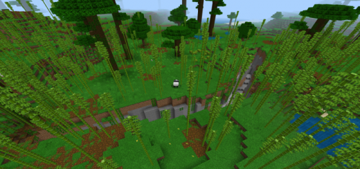 Frozen Ocean and Bamboo Forest Seed