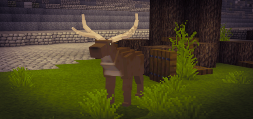 Asset Deer
