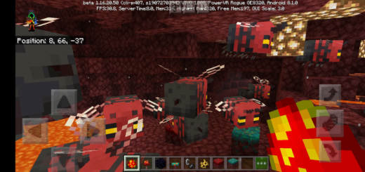 Nether Bees