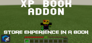 Bedrock Lucky Block Entity (Addon) - Aadhu.com in 2023
