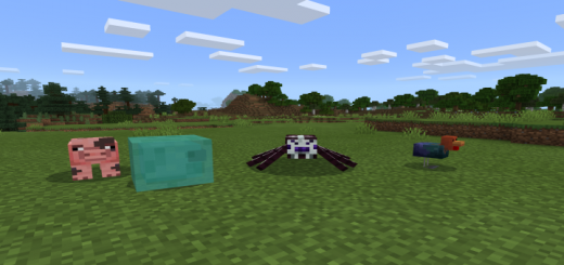 Search Results for rainbow///// | MCPEDL