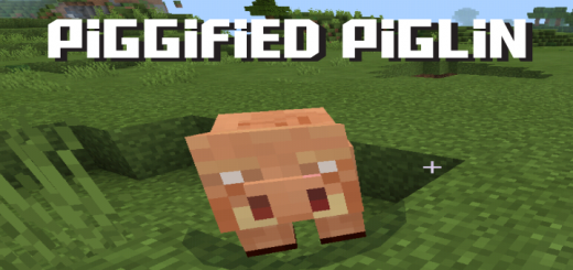 Piggified Piglin!