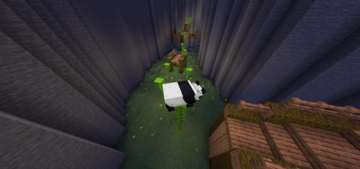 Morph Parkour