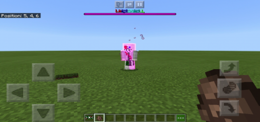 Fatal Error Sans (1.16.20 Only)