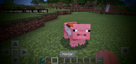 When Pigs Fly