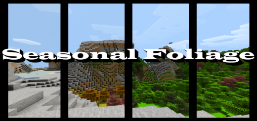 Seasonal Foliage