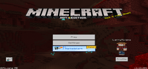 Minecraft "Not That Edition" Subtitle