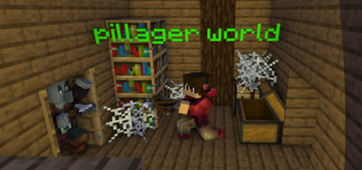 Pillager World