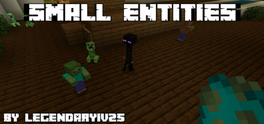 SMALL Entities