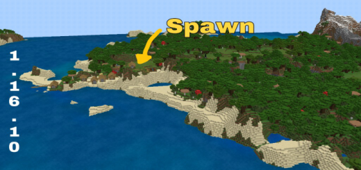 Village And Many Biomes Near The Spawn Point (Seed)