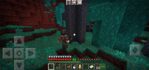 3rd Person Shoulder View Add-on