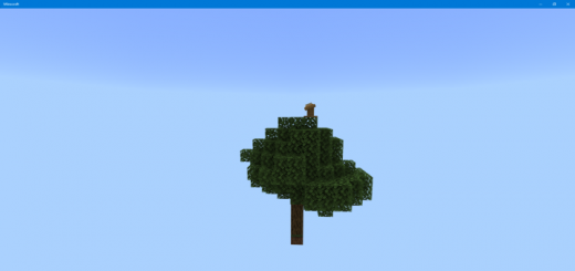 Boost - Skyblock