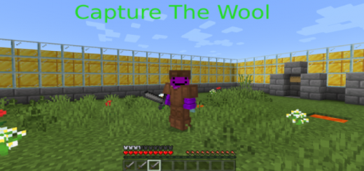 Simple Capture The Wool (Minigame)