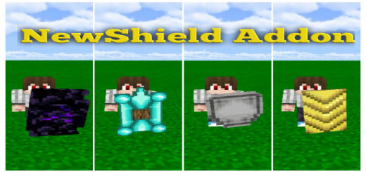 NewShield Addon