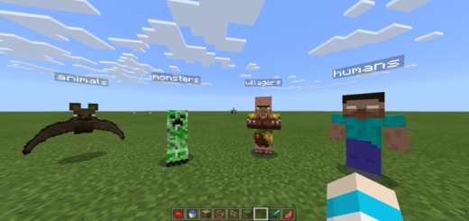 NPC Expansion (Added Warden, Animation Fixes)