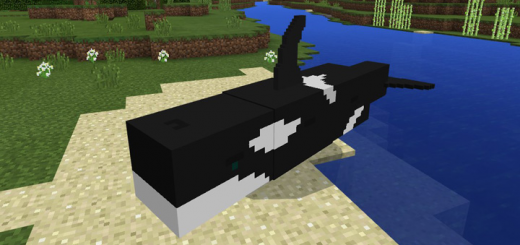 Orca Add-on